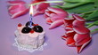 lilac color, Tulips,  candle, sweet cake