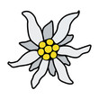 edelweiss