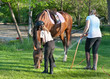 girl sprays horse