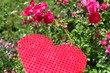 Foto: herz im rosenbeet herz im rosenbeet