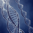 Dna double helix molecules and chromosomes