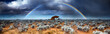 Desert Hope