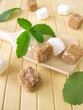 Stevia und Würfelzucker
