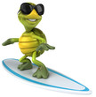 Fun turtle