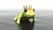 frog animation 3