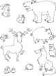 Cartoon forest animal set vector