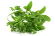 Stevia