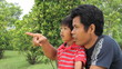 Video: Asian Father And Son Make A Special Discovery Asian Father And Son Make A Special Discovery