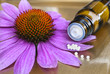 Globuli und Fläschchen mit Echinaceablüte