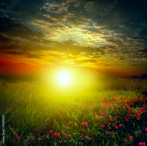 Photo: Meadow Meadow