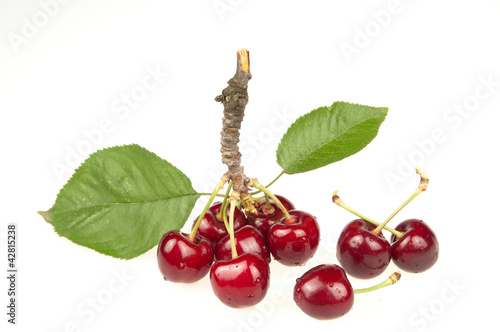 Photo: Cherry Cherry