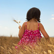 Photo: Provence - Enfant dans les champs de blés Provence - Enfant dans les champs de blés