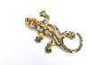 Iguana Gaudi