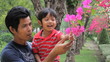 Video: Father And Son Looking At Flowers Together Father And Son Looking At Flowers Together