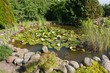 Photo: Beautiful classical garden fish pond gardening background Beautiful classical garden fish pond gardening background