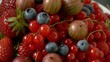 Assorted fresh wild berries for Breakfast