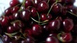 Fresh cherry