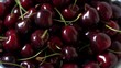 Fresh cherry