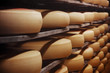 Photo of a cheese factory