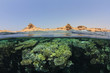 Red Sea Coral Reef and Sinai Desert in Egypt