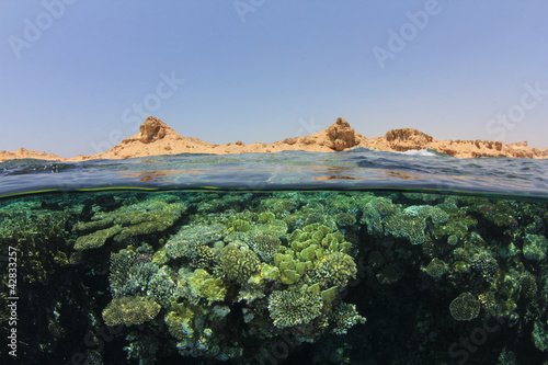 Photo: Red Sea Coral Reef and Sinai Desert in Egypt Red Sea Coral Reef and Sinai Desert in Egypt