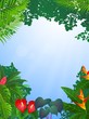 tropical forest background