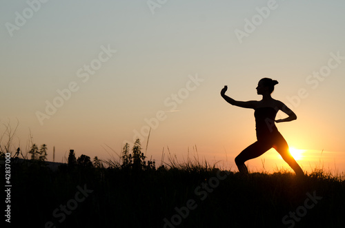 Photo: Tai chi chuan. Tai chi chuan.