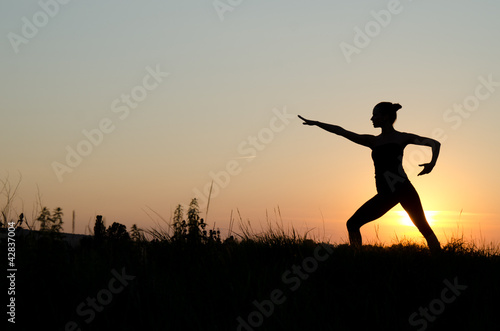 Photo: Tai chi chuan. Tai chi chuan.