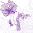 hummingbird with hibiscus