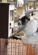 Photo: Selbstbedienung Selbstbedienung