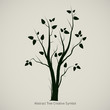 Tree Symbol Design, Creative Nature Icon