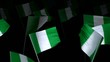 nigeria_flag_crowd_3d_loopable
