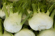 Foto: Fennel Fennel