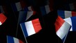 france_flag_crowd_3d_loopable