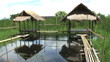 Bamboo Huts On The Water