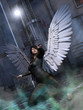 woman with wings
