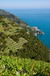 Paysage des cinque terre