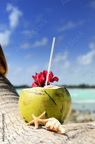 Foto: coconuts on the beach coconuts on the beach