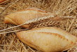 spighe di grano e pane toscano