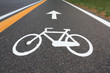 Pista ciclabile - Cycle track