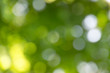 sonnig-grüner Hintergrund