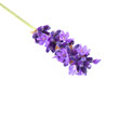 Photo: closeup of lavender plant flower closeup of lavender plant flower