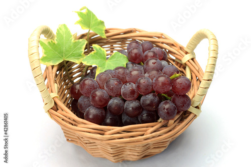 Photo: grape grape