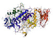 Enzyme Alpha-Amylase. 3D molecular structure