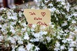 liebe