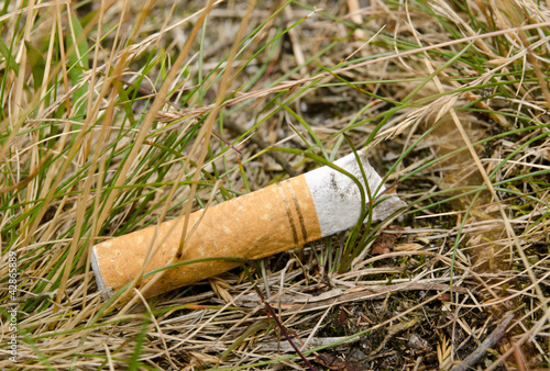 Photo: cigarette thoughtlessness in dry grass cigarette thoughtlessness in dry grass