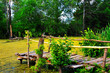 The old wooden bridge on the bank