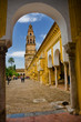 46 - mezquita cordoba