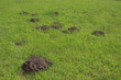 Maulwurfshügel