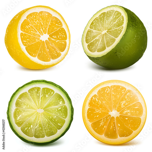 Vector: Vector citrus fruits lime and lemon. Vector citrus fruits lime and lemon.